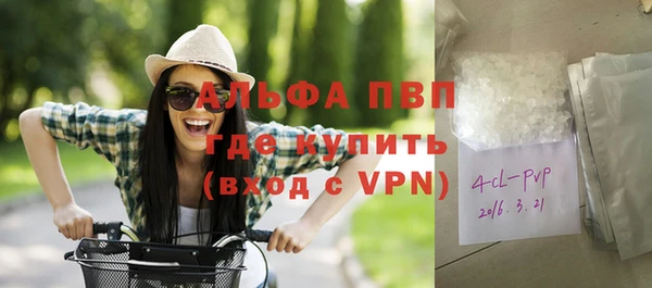 шишки Богородицк