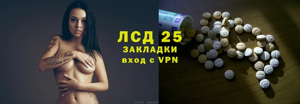 шишки Богородицк