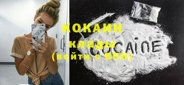 шишки Богородицк