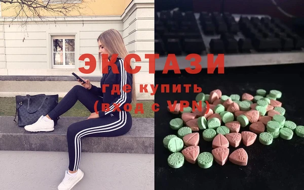 стаф Богородск