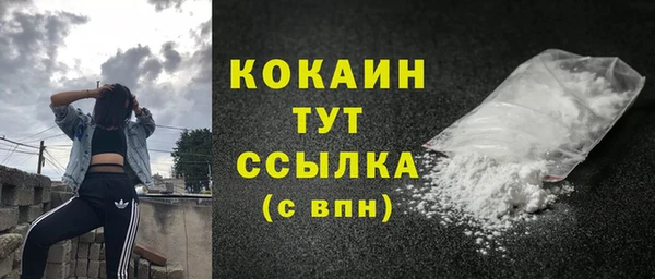 шишки Богородицк