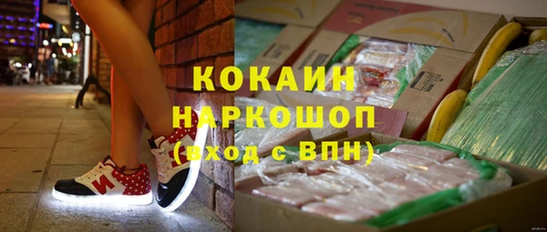 стаф Богородск
