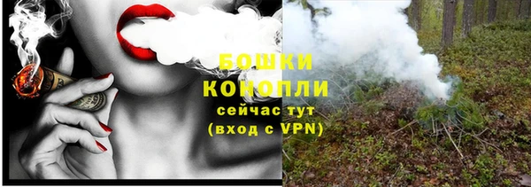 стаф Богородск