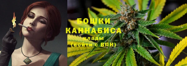 шишки Богородицк