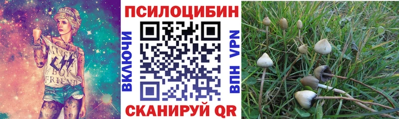 Купить закладки  Москва  Галлюциногенные грибы Psilocybine cubensis 