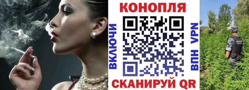 Купить  Москва  Бошки Шишки ГИДРОПОН 